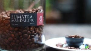 Read more about the article Mengungkap Keunikan Cita Rasa Kopi Mandailing yang Melegenda