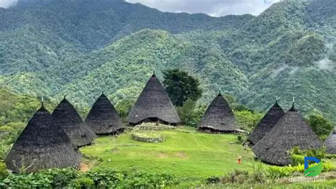 You are currently viewing Keunikan Desa Wae Rebo: Sebuah Permata Budaya di Atas Awan