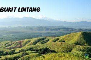 Read more about the article Mengapa Bukit Lintang Harus Ada di Daftar Liburan Anda?