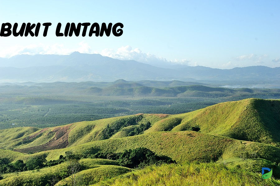 You are currently viewing Mengapa Bukit Lintang Harus Ada di Daftar Liburan Anda?