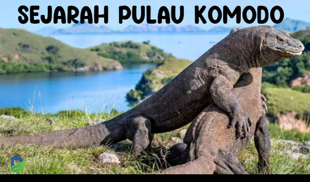 Read more about the article Sejarah Pulau Komodo: Asal-Usul dan Perjalanan Menuju Warisan Dunia